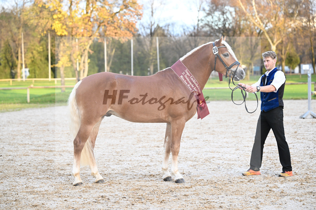 Kat-Nr. 28 Napoleon v. Nakuri_Lechner_60221854 | hf-fotografie - Realisiert mit Pictrs.com