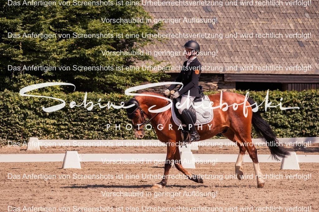 2025_05_31_DSCF3094 | People- und Tierfotografie, Imageaufnahmen, Veranstaltungsfotografie und Wandbilder aus der Natur ★ Made in Germany ✔️ Druck + Downloads ✔️ Naturfotografie in Top Qualität ★ schneller Versand, weltweite Lieferung! - Realisiert mit Pictrs.com