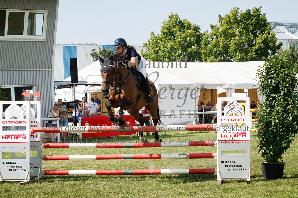 IMG_3513 | P. Berger Fotografie - Realisiert mit Pictrs.com