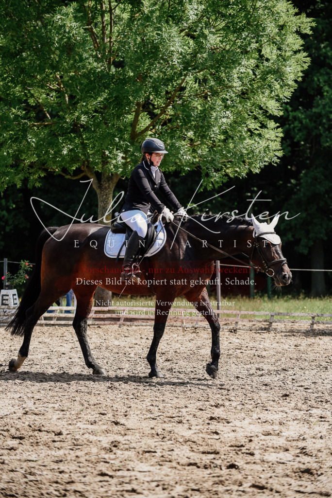 DSC_1106 | Pferde- und Turnierfotografie in Westsachsen. Pferdeportraits, Auftragszeichnungen und intuitive Kunst.