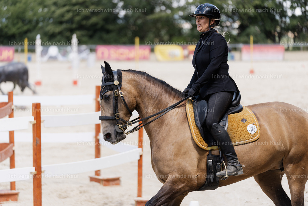 WM_SP_36_SinaFilmArt_IN07663 | working equitationturnier fotograf videograf stoibphotography marixx film working equitation deutschland reitsport turnierfotografie eventfotografie equestrian events