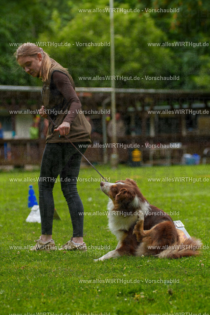 @allesWIRTHgut_Tierfotografie - www.allesWIRTHgut.de - 7R500564 | Professionelle Tierfotografie in Mönchengladbach von Daniel Wirth (allesWIRTHgut). Liebevolle & natürliche Bilder von Hunden & Katzen für unvergessliche Erinnerungen.
