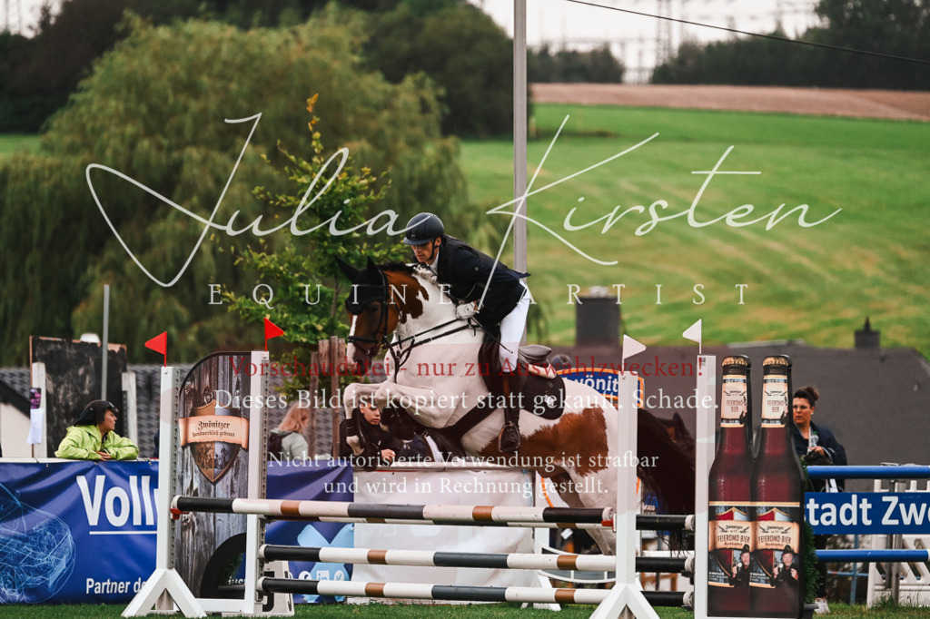DSC_6500 | Pferde- und Turnierfotografie in Westsachsen. Pferdeportraits, Auftragszeichnungen und intuitive Kunst.