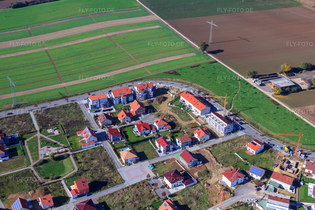 Luftbild: Am Tabakfeld in Kandel im Bundesland Rheinland-Pfalz in Deutschland. Foto: IMG_34495.jpg vom 26.10.2010 durch Werner Riehm/FLY-FOTO.de