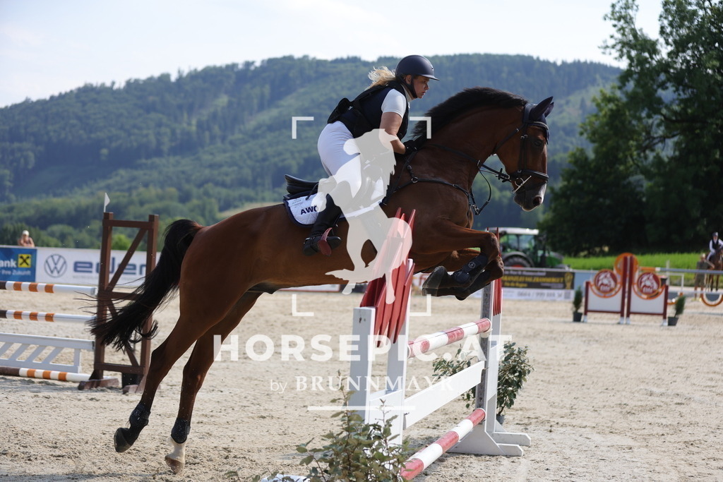 0P6A0823 | Willkommen bei Brunnmayr - Design & Fotografie – Ihrem Spezialisten für Reitturniere und Pferdeveranstaltungen in Oberösterreich, Salzburg und Bayern! Seit über 17 Jahren sind wir leidenschaftlich dabei.