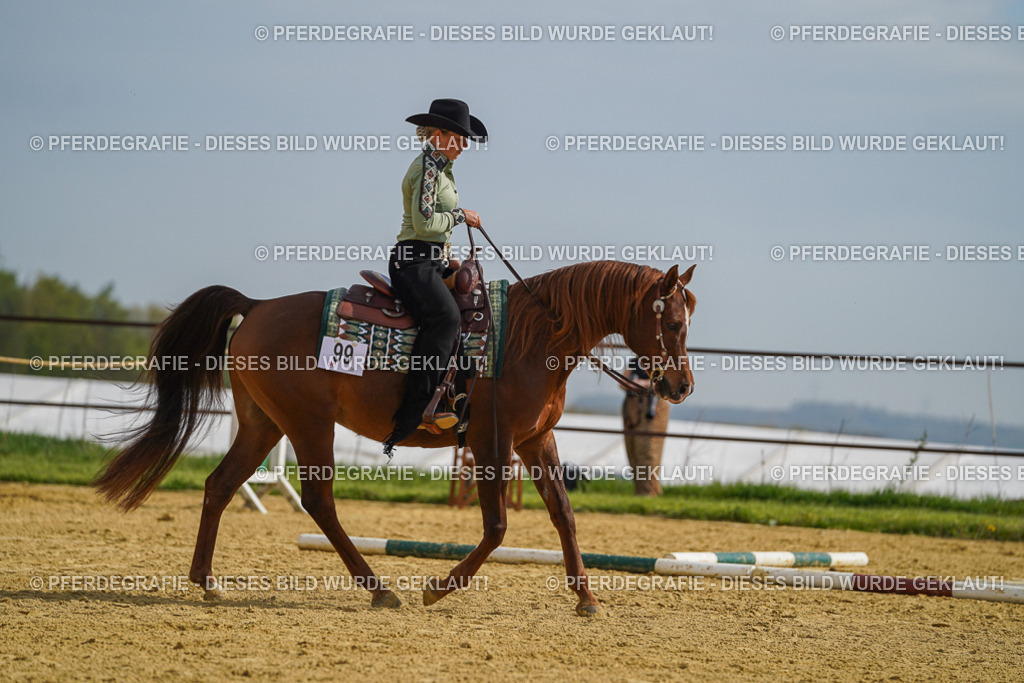 DSC01800 | Pferdegrafie