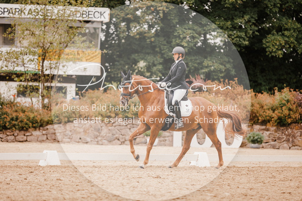 3I6A5923 | Stimmungsvolle Portraits und Reitsportfotografie im Ruhrgebiet und im Münsterland.

Pferdefotografie, Hundefotografie, Tierfotografie, Reportagen, Portraits von Tier und Mensch, Turnierfotografie in Bochum, Recklinghausen, Marl, Haltern am See, Dülmen.. - Realisiert mit Pictrs.com