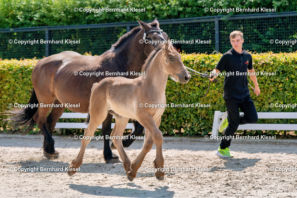 2A900245 | foto-team-bernhard - Realisiert mit Pictrs.com