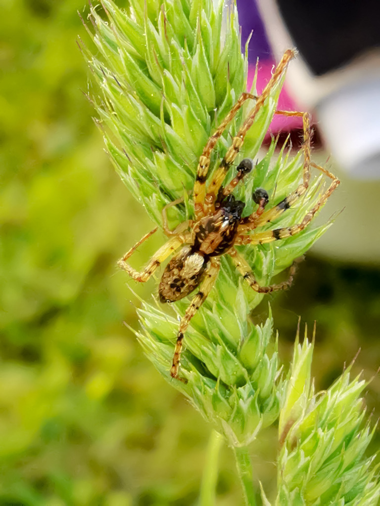 PSX_20230602_231325 | mtkfoto_ - Realisiert mit Pictrs.com