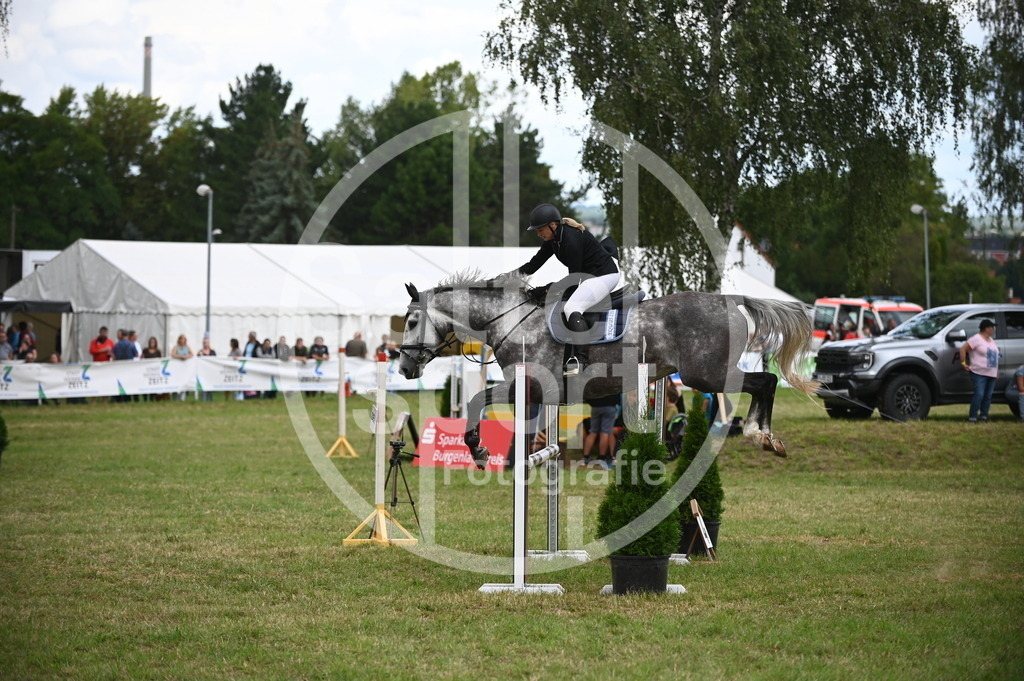 DSC_6483 | sattelsport - Realisiert mit Pictrs.com