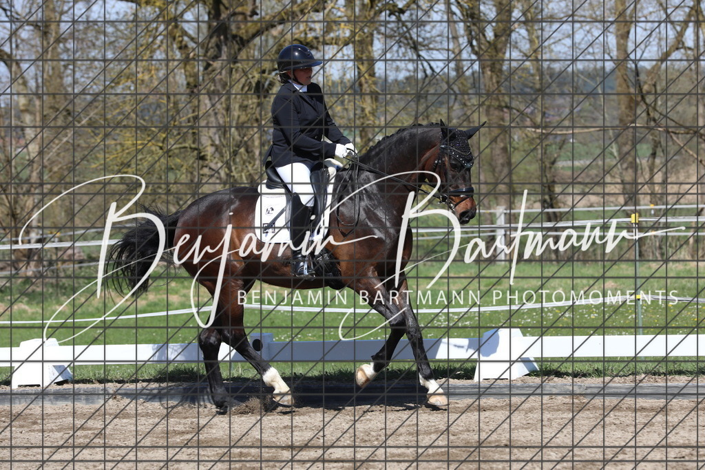 AZ2A4697 | Benjamin Bartmann Photomoments