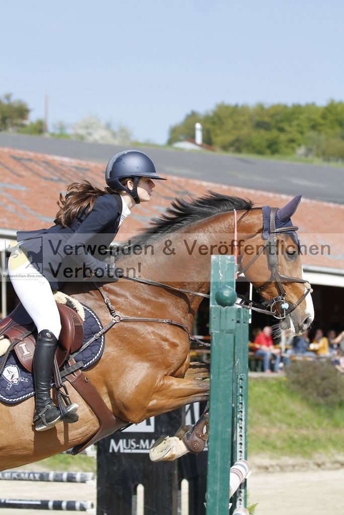 _MG_9216 | equestrian-live-com