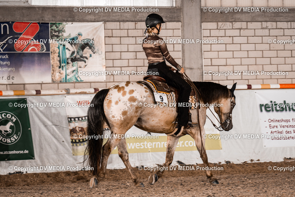 ZH300006 | dv-media-shop - Realisiert mit Pictrs.com