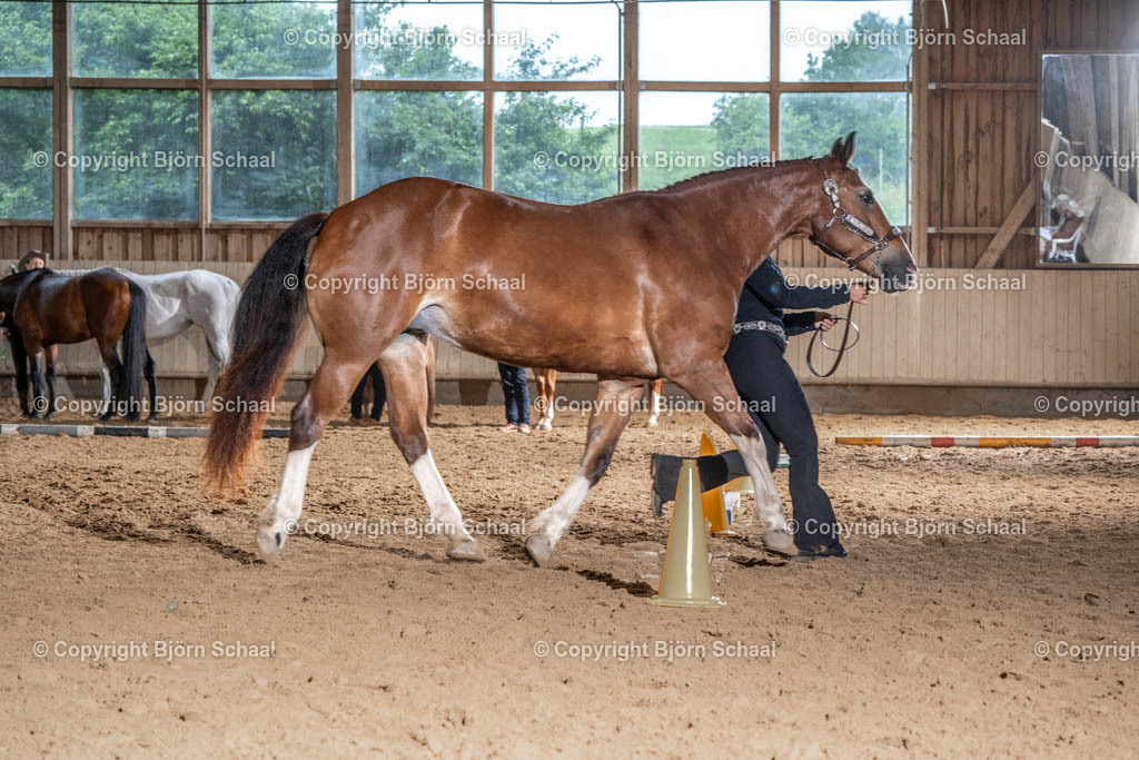 SBS03846 | BS-foto