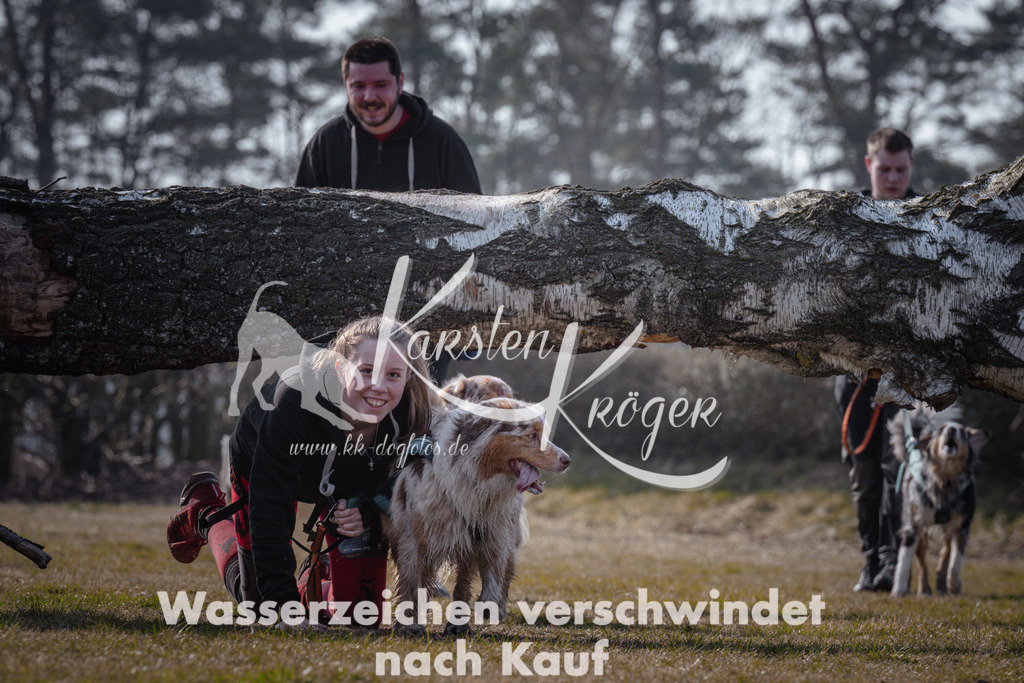 1041_ZZ93429 | kk-dogfotos