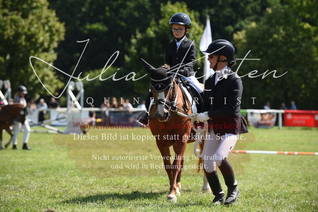 DSC_9733 | Pferde- und Turnierfotografie in Westsachsen. Pferdeportraits, Auftragszeichnungen und intuitive Kunst.