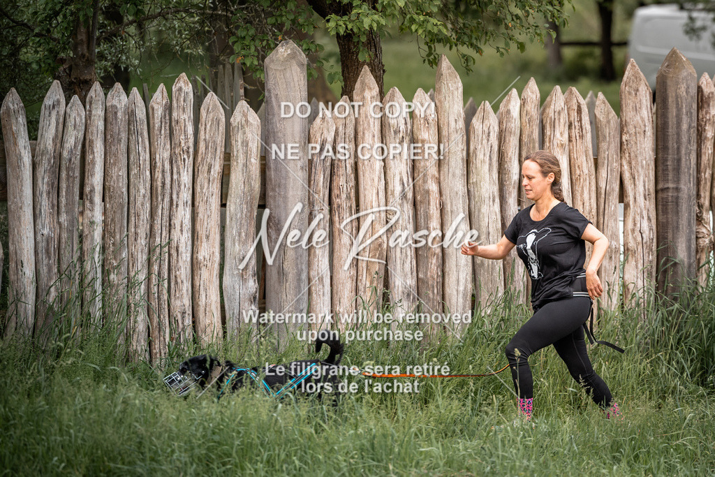 nelerasche_So-funtrail_50 | nelerasche