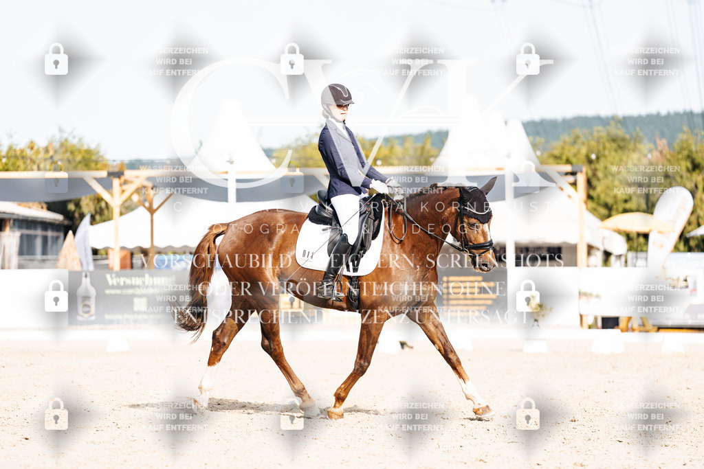 CK905156 | Turnierfotografie Pferdefotografie Trier Rheinland-Pfalz Pferdesport Reitsport Tierfotografie Sportfotografie Pferdevideo Pferdevideografie Equestrianvideography equestrianphotography  - Realisiert mit Pictrs.com