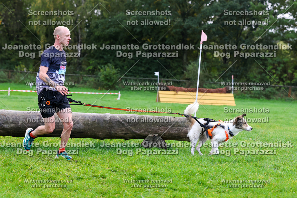 Dog Paparazzi -  SD1026-933 | Dog Paparazzi Jeanette Grottendiek Fotografie & Videografie - Realisiert mit Pictrs.com