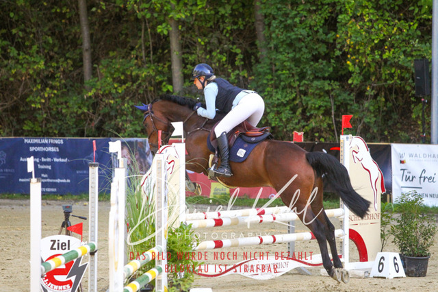 DKP42799 | Deine Turnierfotos vom Reitturnier online kaufen: Dressur, Springen & Siegerehrung. Professionelle Pferdefotografie aus dem Rheinland – als Download & Print.Alternative: Turnierfotograf für den Pferdesport: Finde deine Fotos von Dressur- und Springturnier