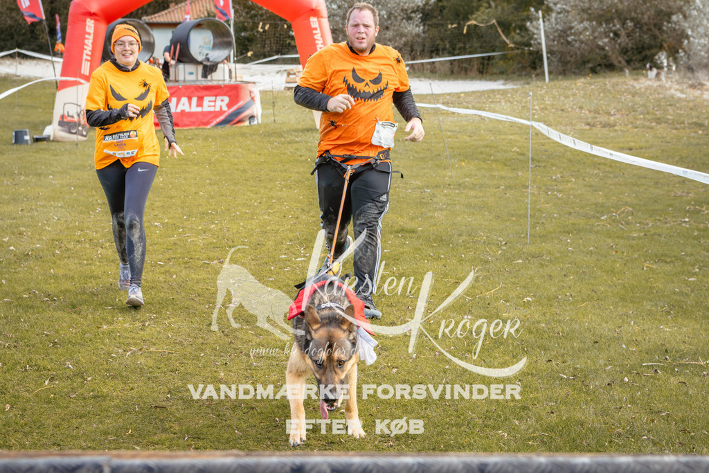 1359_ZZ93198-2 | kk-dogfotos