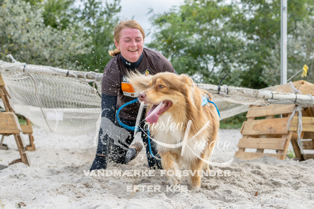 1503_ZZ92591 | kk-dogfotos