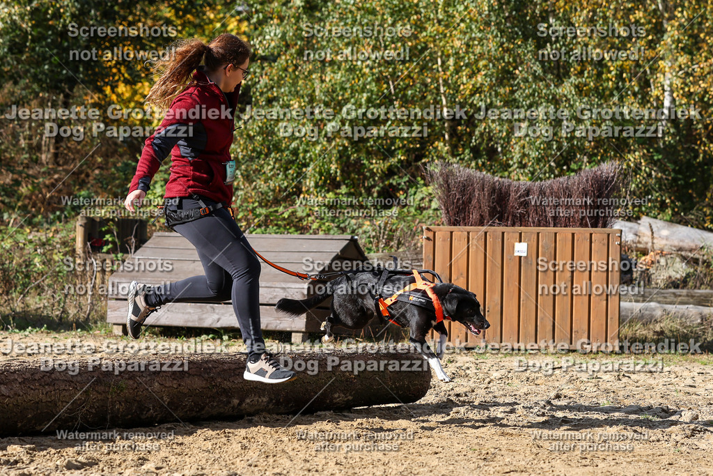 Dog Paparazzi - Strongdog 10-25-4920 | Dog Paparazzi Jeanette Grottendiek Fotografie & Videografie - Realisiert mit Pictrs.com