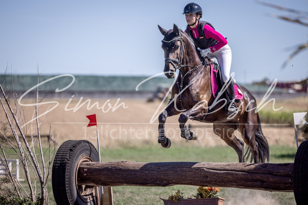 20260906-_3LI4056 | Tierfotografie Pferde, Hunde, Katzen, Haustiere.
Turnierfotografie Reitturniere, Reiten, Springreiten, Dressur in Hanau, dem Main-Kinzig-Kreis und dem Rhein-Main- Gebiet um Frankfurt