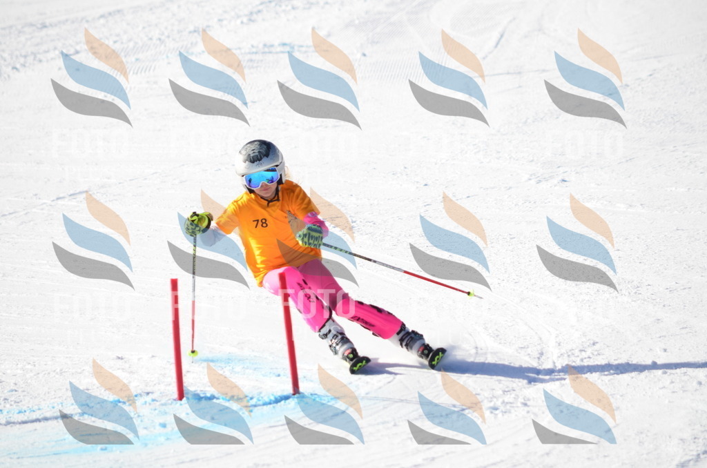 C5957 | holidayphoto