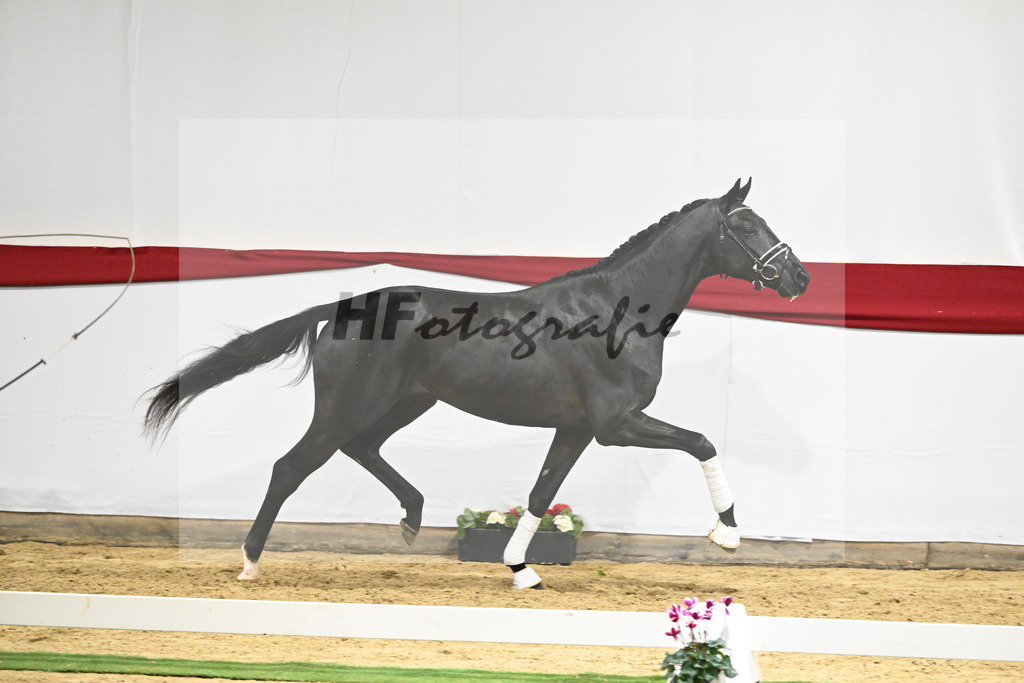 Kat-Nr. 58 v. Donier_Heilemann_63221781 | hf-fotografie - Realizzato con Pictrs.com
