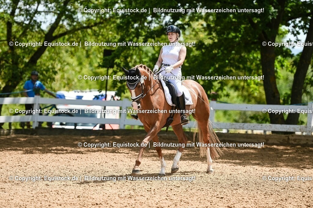 20230716_03_Dressurprfg. Kl.L - Tr._0483 | equistock