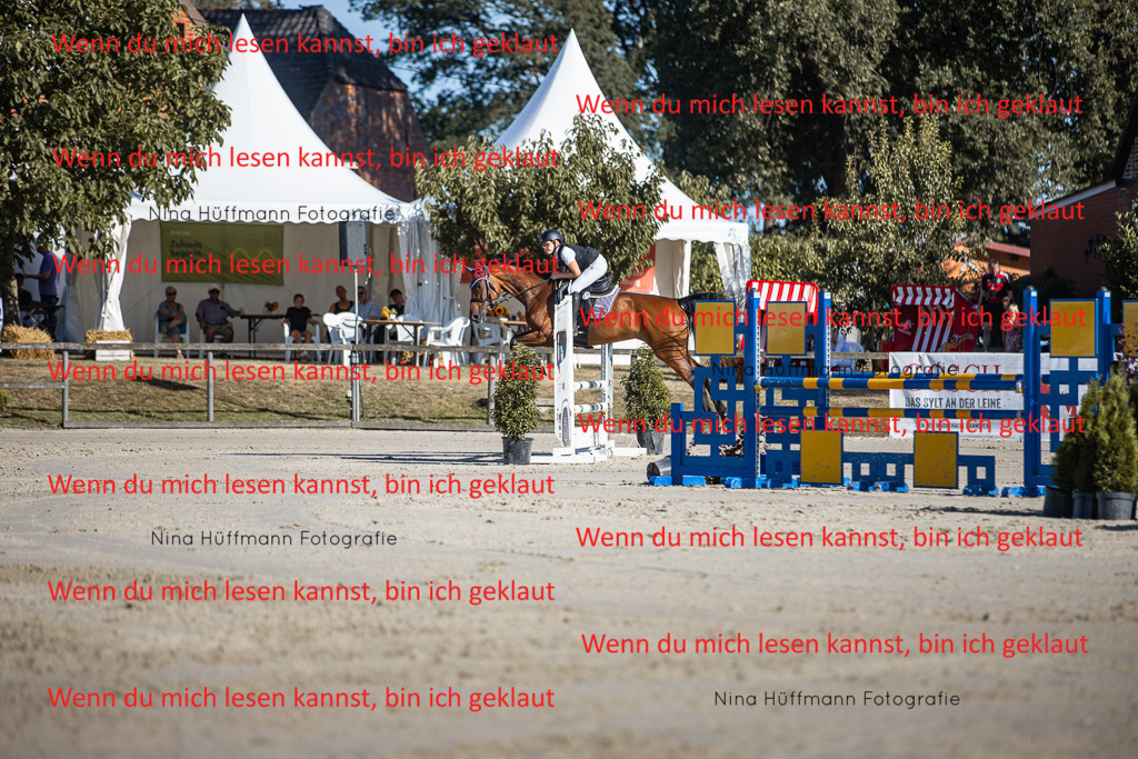 BK1A7388 | Turnierbilder Turnierfotos Nina Hüffmann Turnierfotografie Pferdefotografie Tierzeichnung Haustierzeichnung Pferdezeichnung Hundezeichnung Videograf  - Realisiert mit Pictrs.com