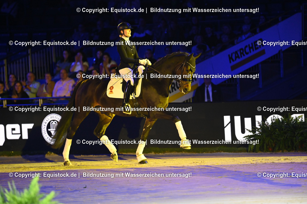 20241114_Ehrung Championatspferde_TOMsPiC_0001 | Foto: Thomas Hartig