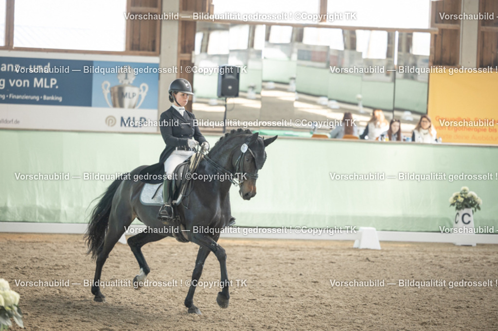 _D5A1023 | Emotionale Pferde- & People-Fotografie rund um Heidelberg, Leimen & Umgebung. Natürliche Fotos von Pferd, Mensch & Familie. Jetzt Termin sichern!