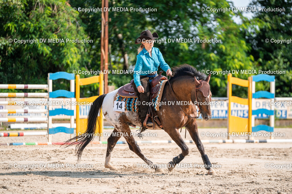 Zeiskam Tag 1-176 | dv-media-shop - Realisiert mit Pictrs.com