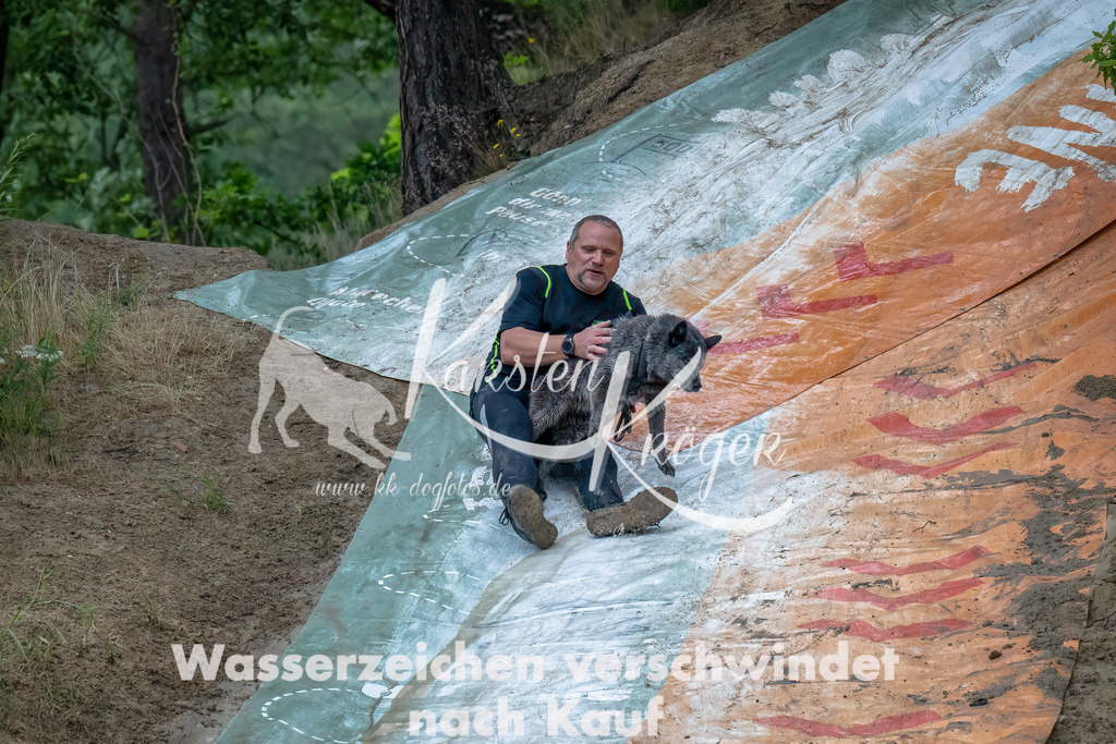 1235_ZZ93667-Bearbeitet | kk-dogfotos