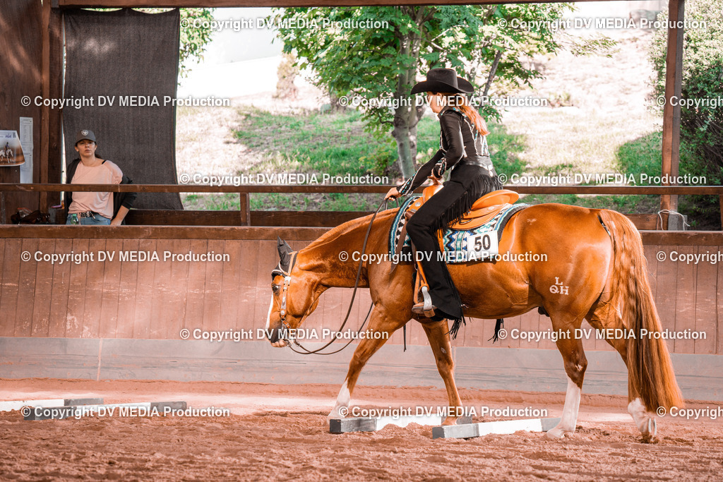 NE300204 | dv-media-shop - Realisiert mit Pictrs.com