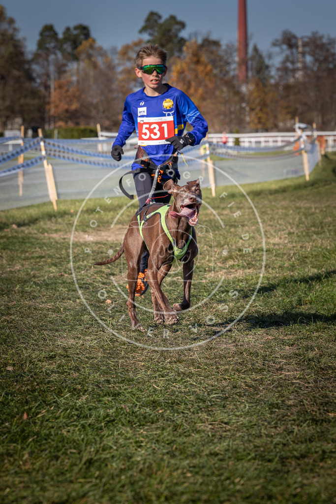 CaniXpix_0L8A7383 | Hundefotografie, Tierfotograf, Pfotenfotografie, Fotoshooting Hund, Hunde Portrait, Hundesport, Hundeportraits, Heideshooting, Hunde, Sportfotograf, Hundefotograf, Turnierhundsport, THS,  - Realisiert mit Pictrs.com