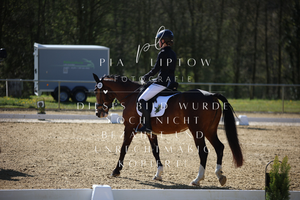 IMGT0095 | pl-fotografie