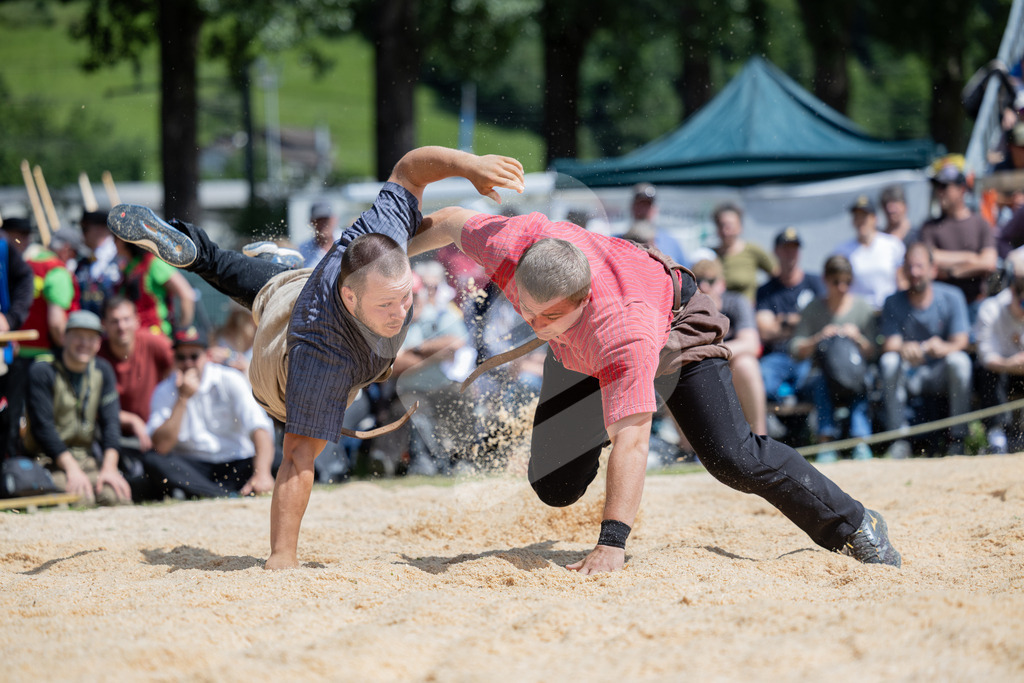UKSF2026_5G_00095 | Die Schwinger des Schwyzer Kantonalen Schwingerverbandes: Fotos, die Dynamik und Leidenschaft festhalten, sowie emotionale Momente aus dem traditionellen Schwingsport zeigen. - Realisiert mit Pictrs.com