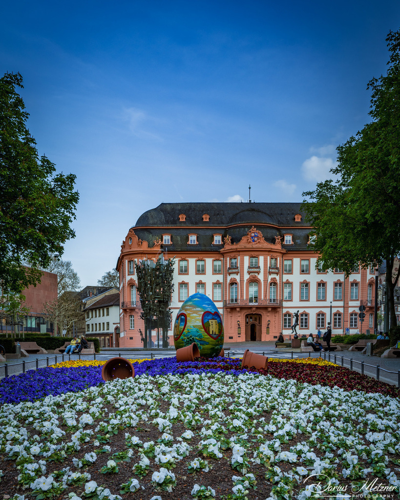 _DSC7090 | Fotografien, Fotos und Bilder aus Mainz, Frankfurt, Wiesbaden und anderen Orten auf der Welt - Fotografiert von Darius Metzner