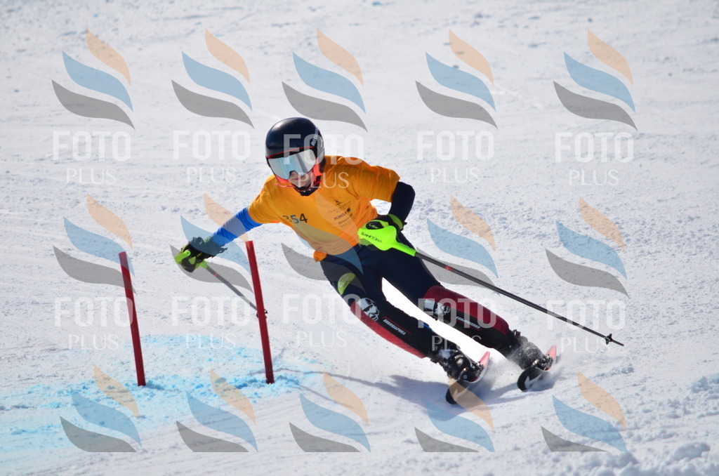 C9806 | holidayphoto