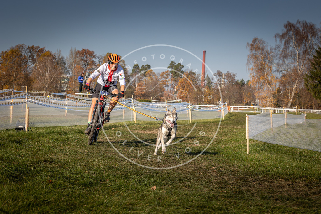 CaniXpix_0L8A8078 | Hundefotografie, Tierfotograf, Pfotenfotografie, Fotoshooting Hund, Hunde Portrait, Hundesport, Hundeportraits, Heideshooting, Hunde, Sportfotograf, Hundefotograf, Turnierhundsport, THS,  - Realisiert mit Pictrs.com