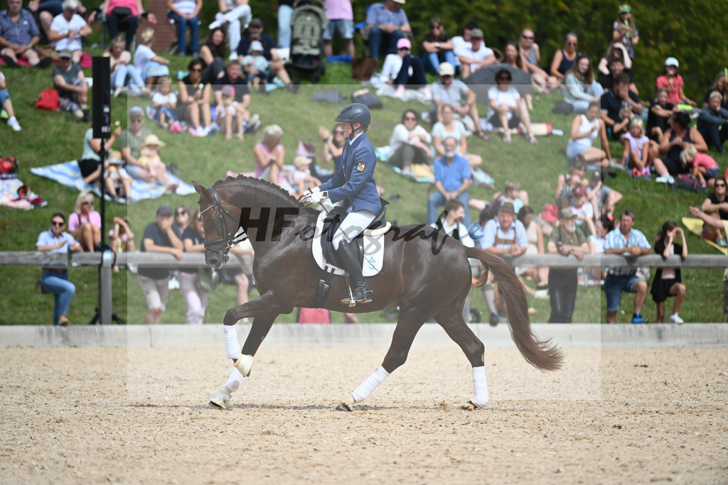 Hengste im Sport_36240216 | hf-fotografie - Realisiert mit Pictrs.com
