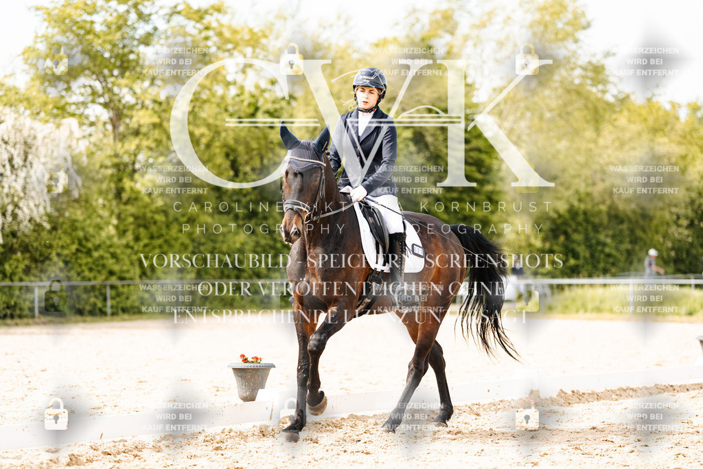 CK901179 | Turnierfotografie Pferdefotografie Trier Rheinland-Pfalz Pferdesport Reitsport Tierfotografie Sportfotografie Pferdevideo Pferdevideografie Equestrianvideography equestrianphotography  - Realisiert mit Pictrs.com