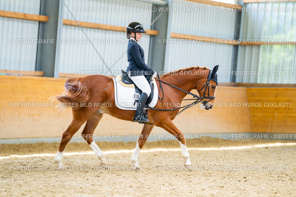 DSC09596 | Pferdegrafie