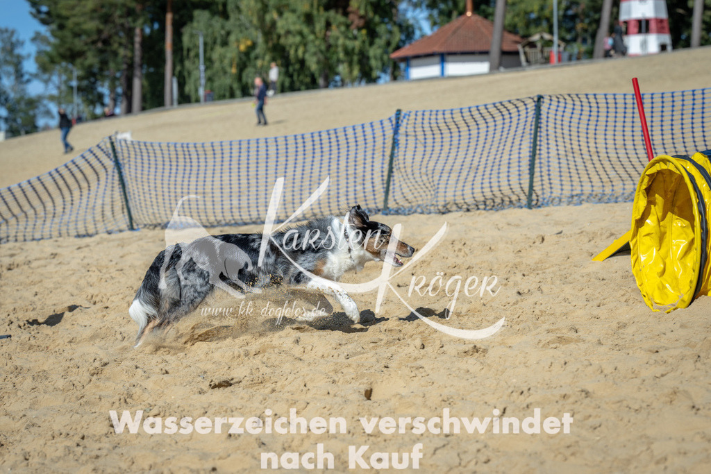 1312_ZZ94082-2 | kk-dogfotos