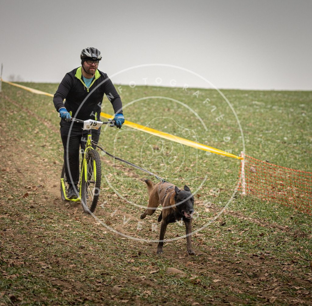 Pfotenfotografie_DV3A3897 | Hundefotografie, Tierfotograf, Pfotenfotografie, Fotoshooting Hund, Hunde Portrait, Hundesport, Hundeportraits, Heideshooting, Hunde, Sportfotograf, Hundefotograf, Turnierhundsport, THS,  - Realisiert mit Pictrs.com