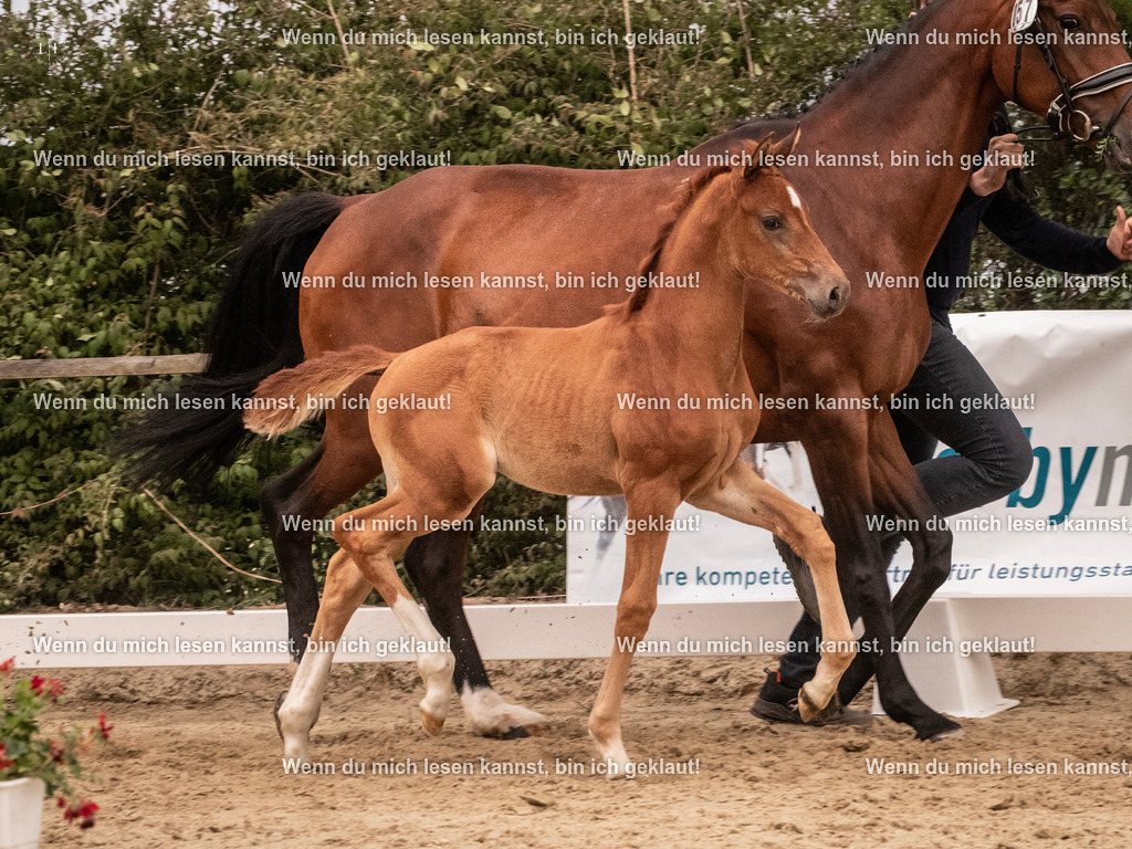 A10I5769 | photographylinaismer - Realisiert mit Pictrs.com
