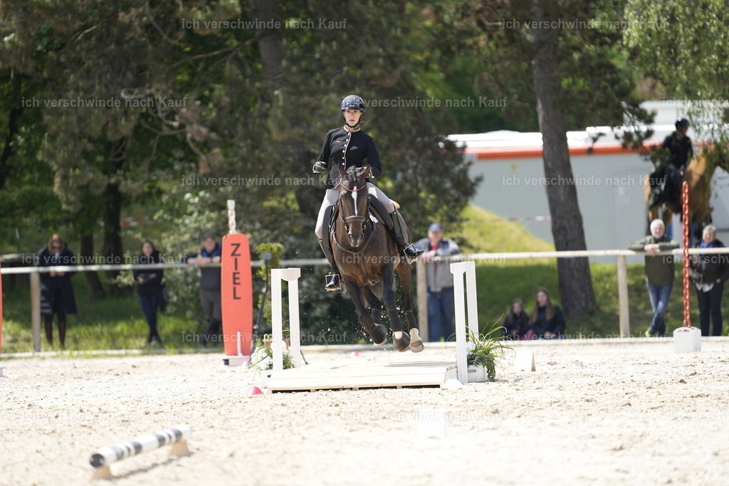 PI26_SP_Stoibphotography_A749043.JPG | working equitationturnier fotograf videograf stoibphotography marixx film working equitation deutschland reitsport turnierfotografie eventfotografie equestrian events